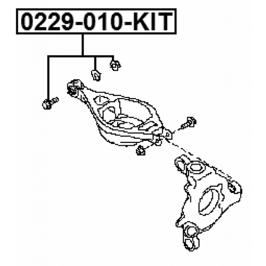 0229-010-KIT - Inställningsskruv, camber 