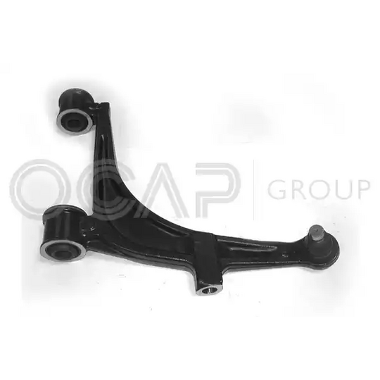 0391495 - Track Control Arm 