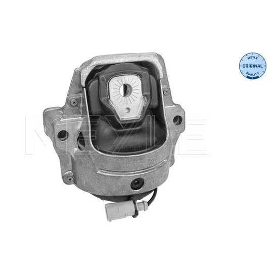 100 199 1009 - Engine Mounting 