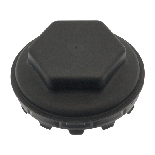 100282 - Protection Lid, wheel hub 