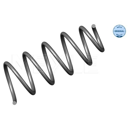 100 639 0001 - Coil Spring 