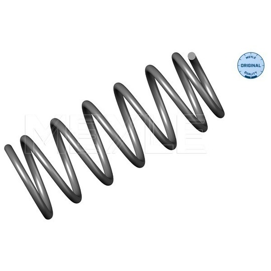 100 639 0011 - Coil Spring 