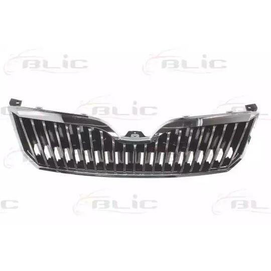 1023-17-014530P - Radiator Grille 