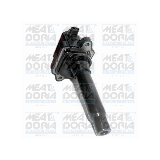 10788 - Ignition coil 