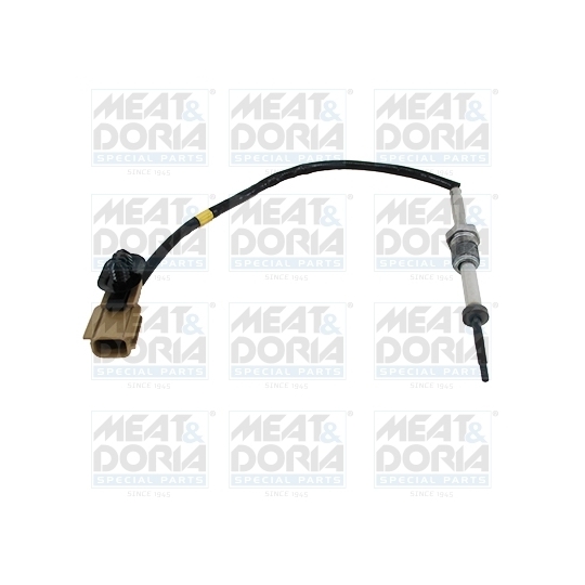 12069 - Sensor, exhaust gas temperature 