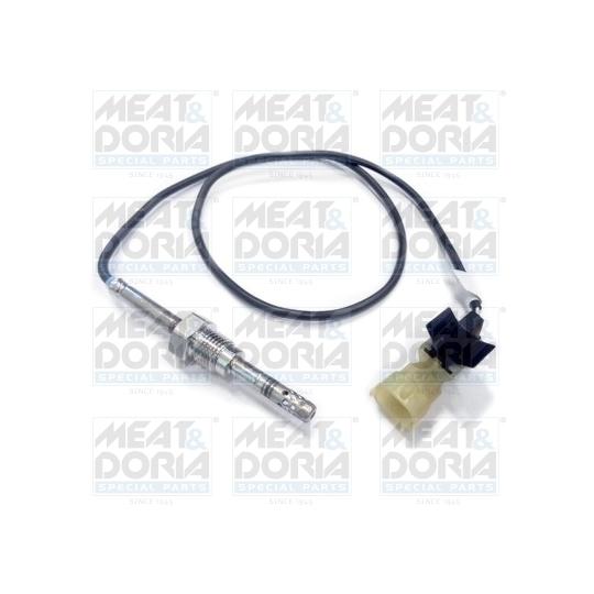 12075 - Sensor, exhaust gas temperature 