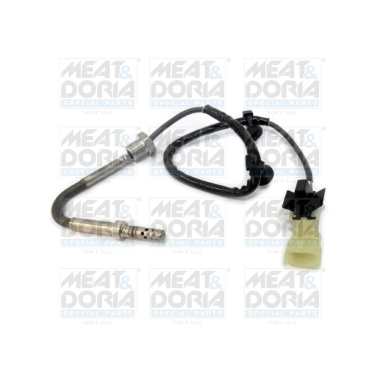 12089 - Sensor, exhaust gas temperature 