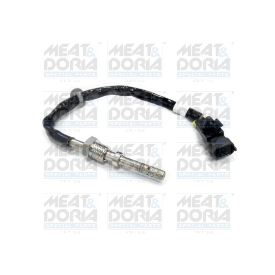 12093 - Sensor, exhaust gas temperature 