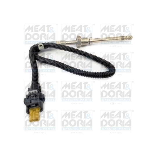 12103 - Sensor, exhaust gas temperature 