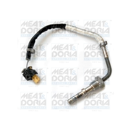 12110 - Sensor, exhaust gas temperature 