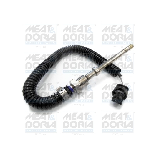 12115 - Sensor, exhaust gas temperature 