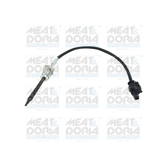 12118 - Sensor, exhaust gas temperature 