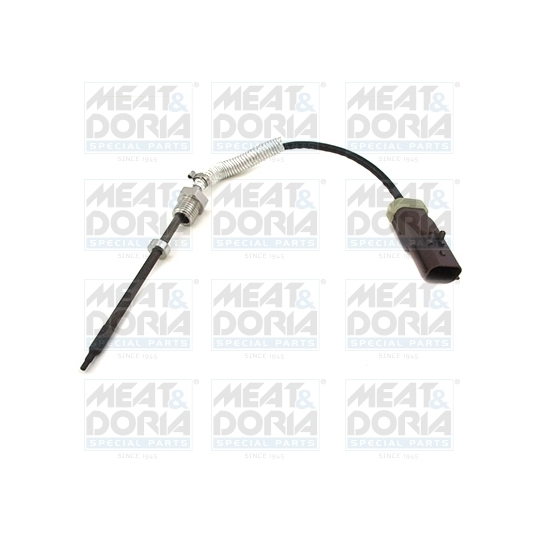 12131 - Sensor, exhaust gas temperature 