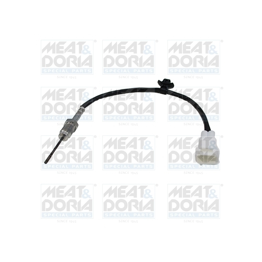 12174 - Sensor, exhaust gas temperature 