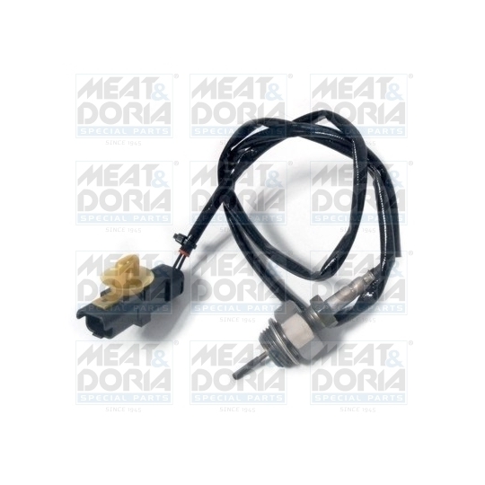 12306 - Sensor, exhaust gas temperature 