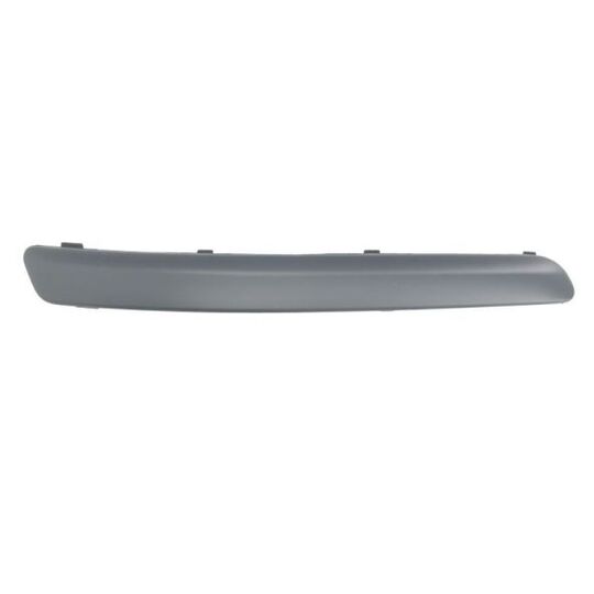 5510-00-9506924Q - Trim/Protective Strip, bumper 