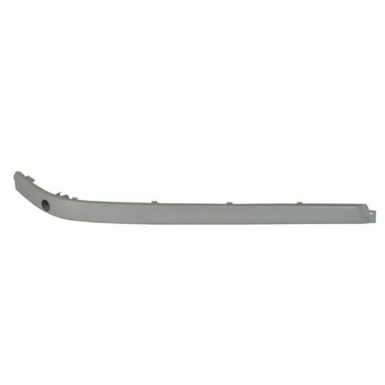 5513-00-00659709P - Trim/Protective Strip, bumper 