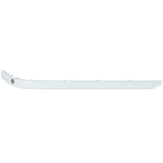 5513-00-00659710P - Trim/Protective Strip, bumper 