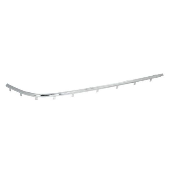 5513-00-00659715P - Trim/Protective Strip, bumper 