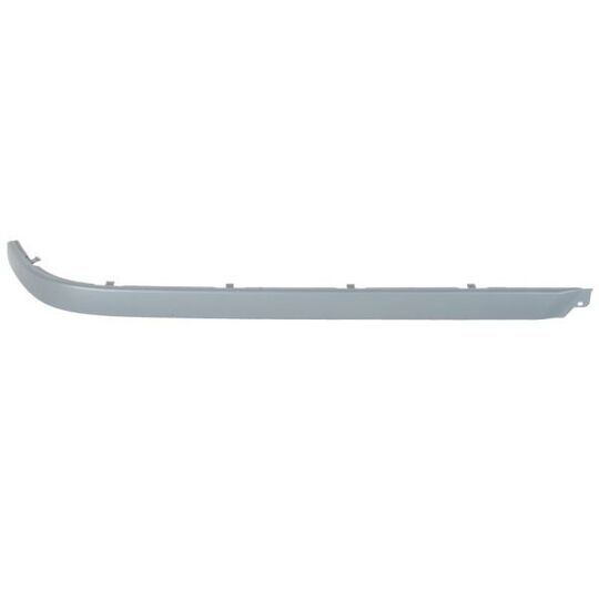 5513-00-00659724P - Trim/Protective Strip, bumper 