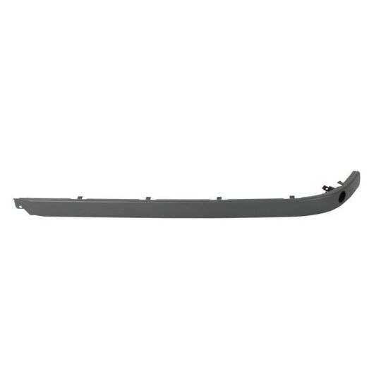 5513-00-00659725P - Trim/Protective Strip, bumper 