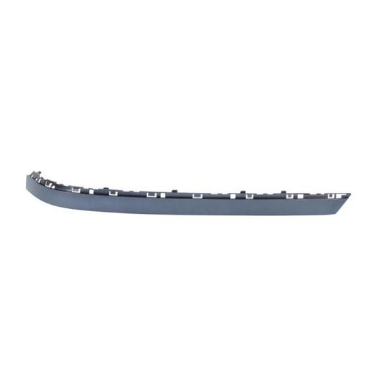 5513-00-0076972PP - Trim/Protective Strip, bumper 