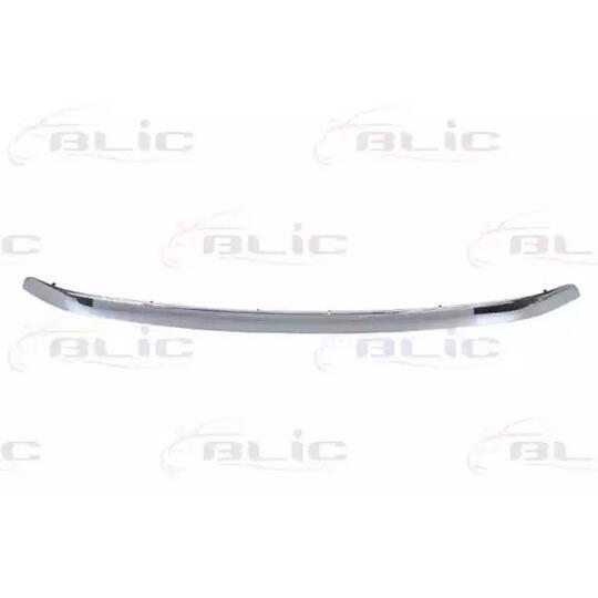 5513-00-8179921P - Trim/Protective Strip, radiator grille 