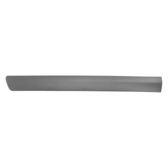 5703-04-1301573P - Trim/Protective Strip, door 