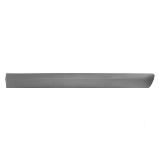 5703-04-1301574P - Trim/Protective Strip, door 