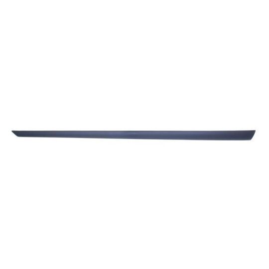 5703-04-2564571PP - Trim/Protective Strip, door 