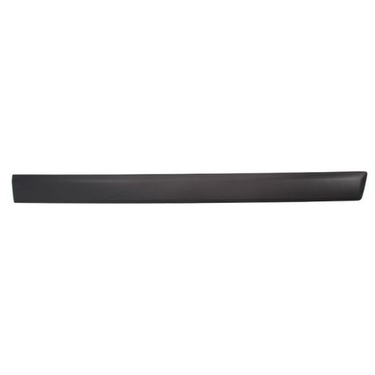 5703-04-2576572PP - Trim/Protective Strip, door 