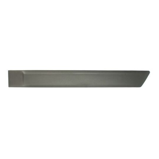 5703-04-2576573PP - Trim/Protective Strip, door 