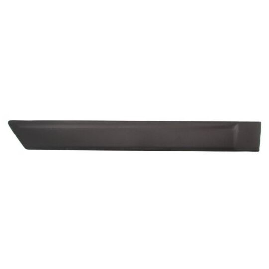 5703-04-2576574PP - Trim/Protective Strip, door 