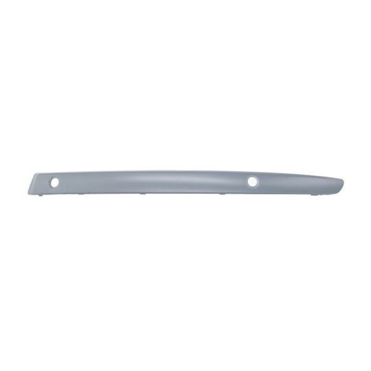 5703-05-0085925Q - Trim/Protective Strip, bumper 