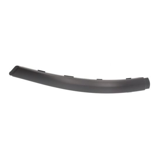 5703-05-2555973P - Trim/Protective Strip, bumper 