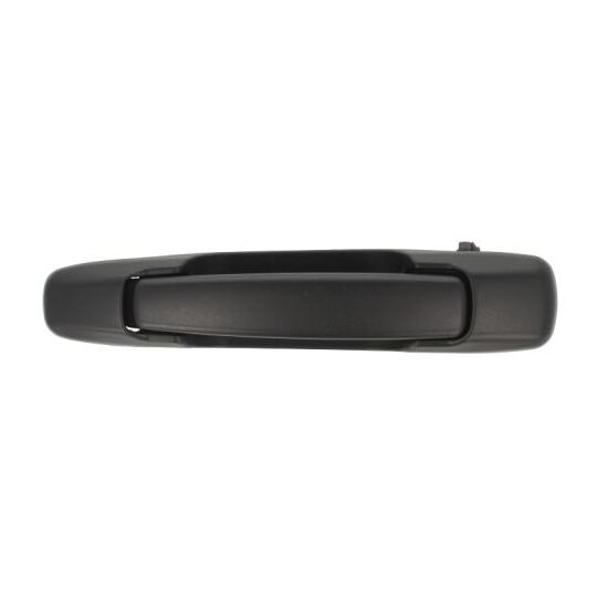 6010-17-008401P - Door Handle 