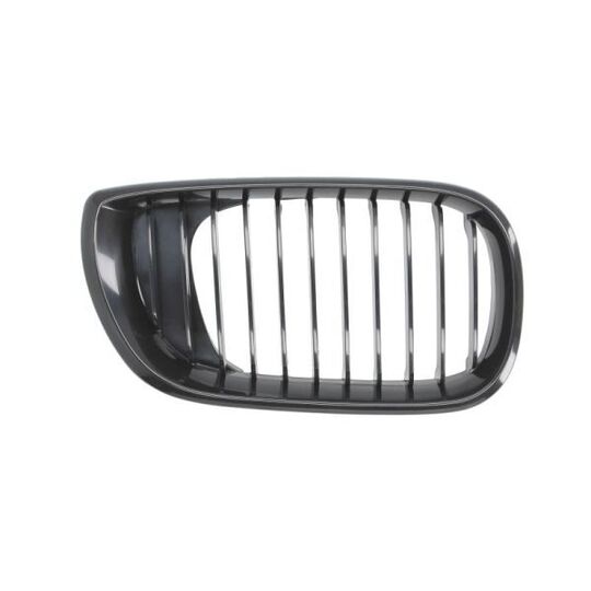 6502-07-0061994BP - Radiator Grille 