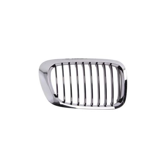 6502-07-0061994PP - Radiator Grille 