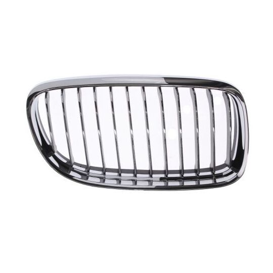 6502-07-0062992PP - Radiator Grille 