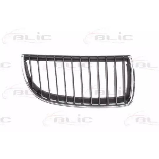 6502-07-0062992Q - Radiator Grille 