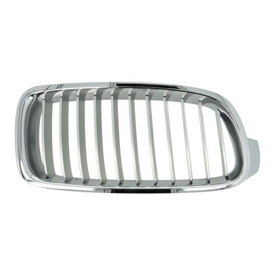 6502-07-0063994P - Radiator Grille 