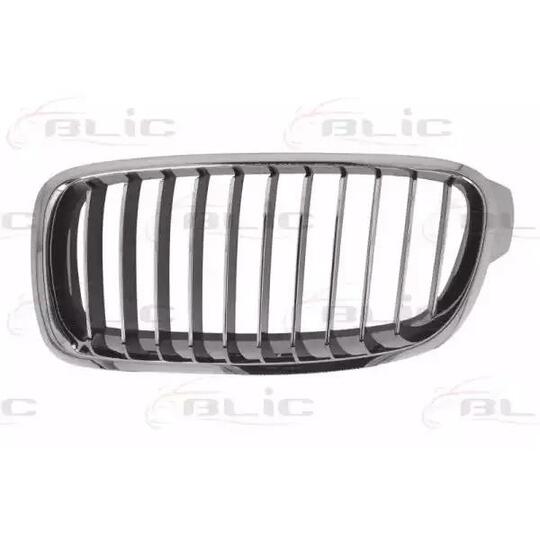 6502-07-0063997Q - Radiator Grille 