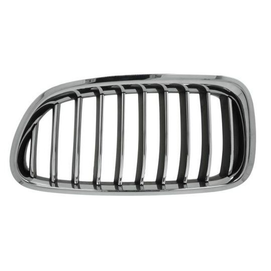 6502-07-0067997P - Radiator Grille 