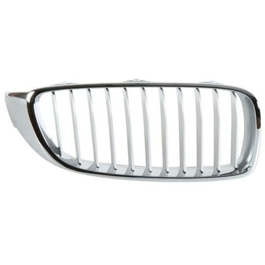 6502-07-0070994P - Radiator Grille 