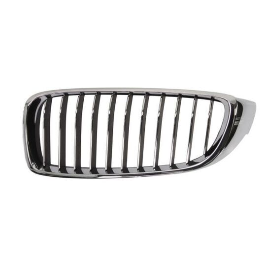 6502-07-0070997P - Radiator Grille 