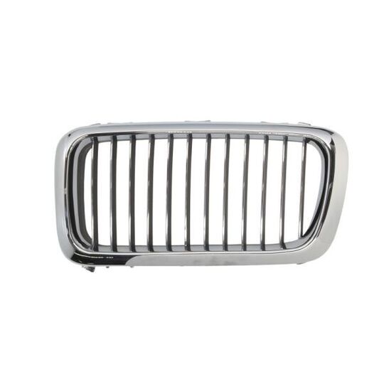 6502-07-0075993P - Radiator Grille 