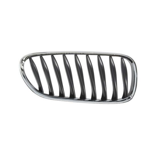 6502-07-0089992P - Radiator Grille 