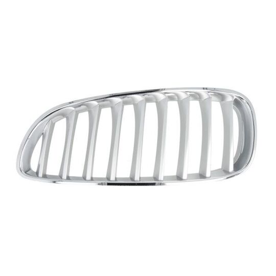 6502-07-0089997P - Radiator Grille 