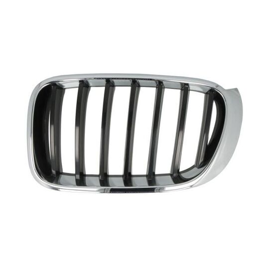 6502-07-00939933P - Radiator Grille 