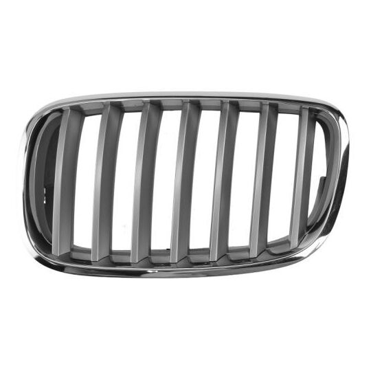 6502-07-0096991PP - Radiator Grille 